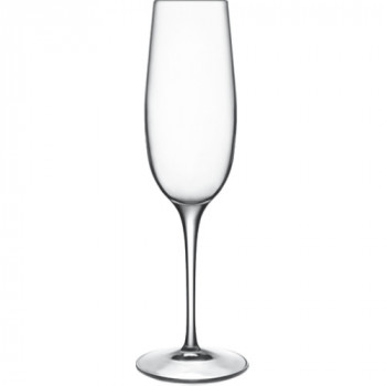 Бокал для шампанского 235мл PALACE