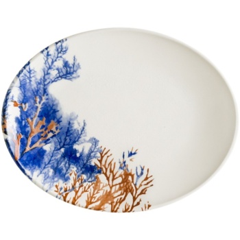 Фото Блюдо, тарелка овальная 31x24см AQUELIS 2 Moove
