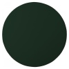 Плейсмат круглый ø38см PVC зеленый детальная картинка 