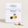 Сменный блок для автодиффузора «Цедра вербены» (Zest Of Verbena), 2шт детальная картинка 