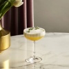Бокал для шампанского и коктейлей 205мл RIMS Orient Saucer детальная картинка 