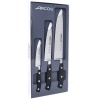 Набор кухонных ножей RIVIERA, 3шт детальная картинка 