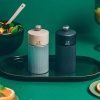 Мельница для cоли LINE Carbon 12см ZIRLION детальная картинка 