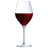 Бокал для вина 550мл Exaltation детальная картинка 