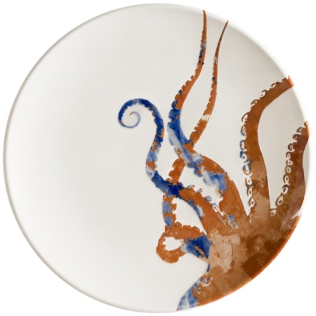 Тарелка плоская Ø25см AQUELIS Octopus Gourmet детальная картинка 