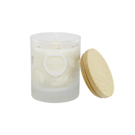 Аромасвеча «Антистресс» (Aroma D-Stress) 180г детальная картинка 