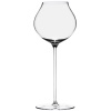 Бокал 460мл для апельсинового вина LINEA UMANA детальная картинка 