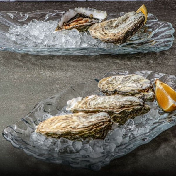 Фото Блюдо прямоугольное стеклянное 28x17x(h)3см Lava прозрачное