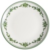 Тарелка плоская Ø27см LAVIS Green Gourmet детальная картинка 