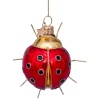 Новогоднее украшение из стекла Vondels "Божья коровка красная с золотом" 9см детальная картинка 