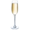Бокал для шампанского 160мл VERSAILLES - G1484 Luminarc детальная картинка 