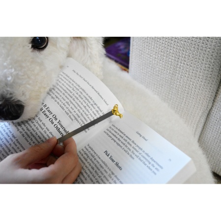 Закладка для книг "Леопард" детальная картинка 
