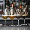 Набор бокалов для пива 420мл BIRRATEQUE Beer Tester, 2шт детальная картинка 