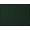Плейсмат прямоугольный 45x32см PVC зеленый детальная картинка 