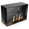 Набор стаканов для дегустации виски на охлаждающей подставке Whisky Atmosphere Noir mat, 2шт детальная картинка 