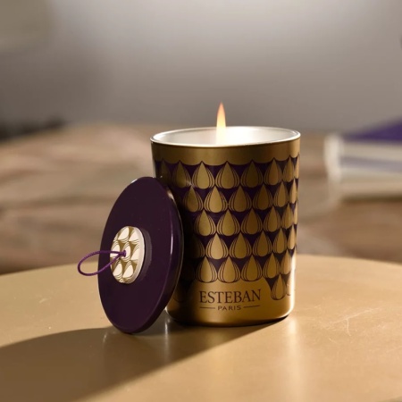 Аромасвеча Черный инжир (Figue noire) 180г детальная картинка 