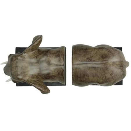 Держатель-ограничитель для книг "Слон" 31x11x25см детальная картинка 