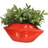 Кашпо "Lips" 28x10x12.5см детальная картинка 