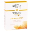 Сменный блок для автодиффузора «Энергия» (Aroma Energy), 2шт детальная картинка 