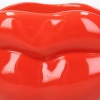Кашпо "Lips" 28x10x12.5см детальная картинка 
