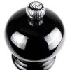 Мельница для перца PARIS Lacquered Black 18см детальная картинка 