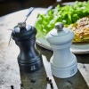 Набор мельниц для соли и перца 10см BISTRO Black&White ZIRLION детальная картинка 