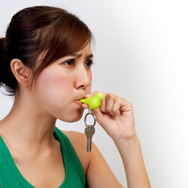 Фото Держатель для ключей двойной Sparrow белый-зеленый