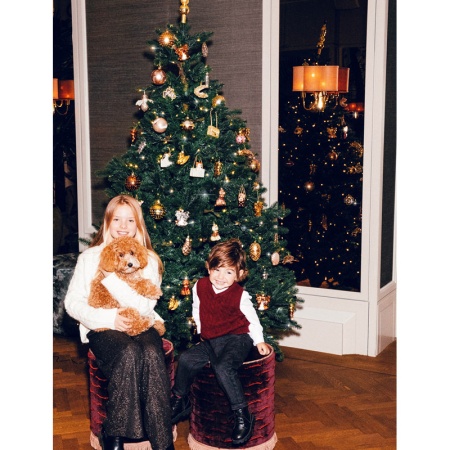 Новогоднее украшение из стекла Vondels "Лабрадор в коричневой сумочке" 7см детальная картинка 