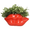 Кашпо "Lips" 37.3x14.2x17см детальная картинка 