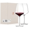 Набор бокалов для вина 750мл Cocoon Bordeaux, 2шт - Stolzle Lausitz детальная картинка 