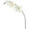 Ветка белой орхидеи 12x7x(h)66см PHALAENOPSIS детальная картинка 