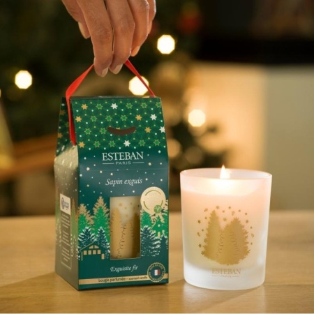 Аромасвеча Праздничная хвоя (Exquisite Fir) 180г детальная картинка 