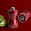 Мельница для соли BISTRORAMA Red Passion 10см детальная картинка 
