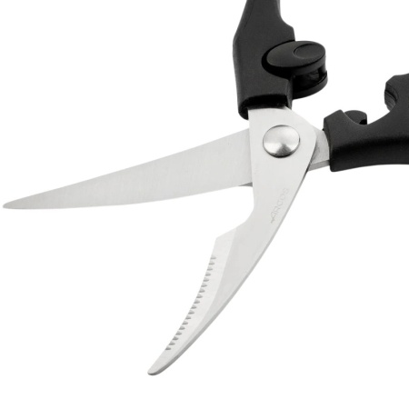 Ножницы для рыбы, птицы 24см Arcos детальная картинка 