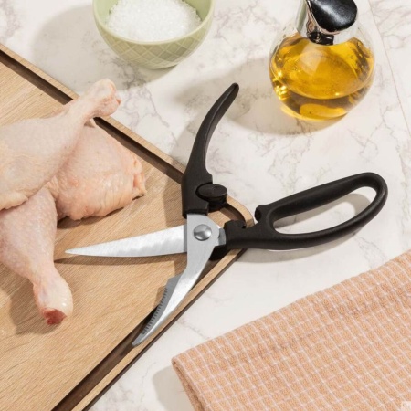 Ножницы для рыбы, птицы 24см Arcos детальная картинка 