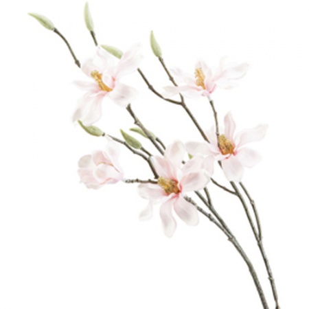 Ветка розовой магнолии 22x18x(h)84см MAGNOLIA PINK детальная картинка 