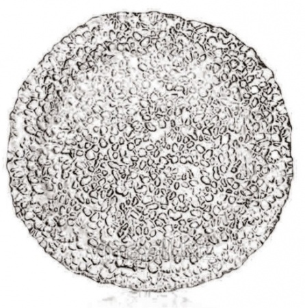 Блюдо Ø32см GOCCE детальная картинка 