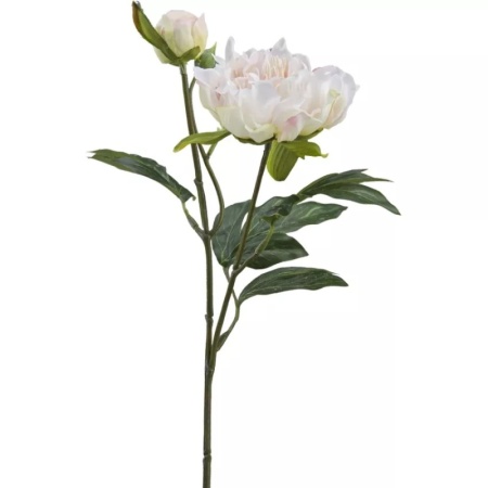 Ветка светло-розового пиона 15x15x(h)48см детальная картинка 