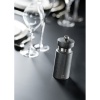 Мельница для соли ROYAN Metallic Grey 14см детальная картинка 