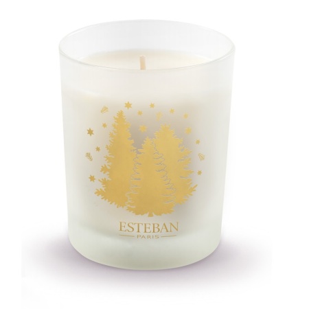 Аромасвеча Праздничная хвоя (Exquisite Fir) 180г детальная картинка 