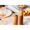 Мельница для соли CHATEL Walnut 21см детальная картинка 