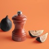 Мельница для соли BISTRORAMA Terracotta 10см ZIRLION детальная картинка 