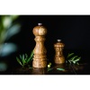 Мельница для соли PARIS Olive Wood 18см детальная картинка 