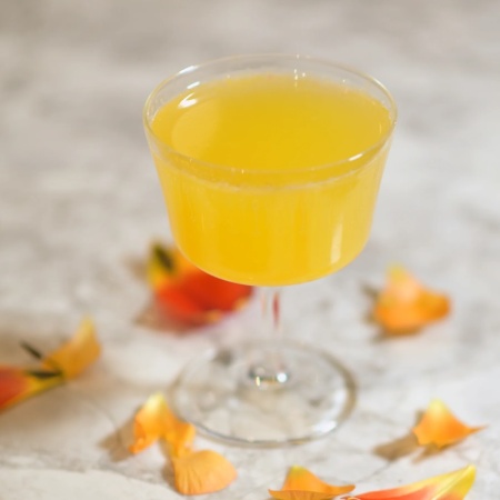 Бокал для коктейлей 220мл Fizz BARTENDER Novecento детальная картинка 