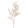 Ветка сухого аспарагуса 19x19x(h)86см ASPARAGUS детальная картинка 