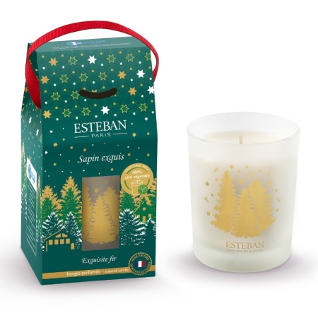 Аромасвеча Праздничная хвоя (Exquisite Fir) 180г детальная картинка 