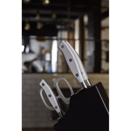 Набор кухонных ножей RIVIERA BLANC 4шт с ножницами на подставке детальная картинка 