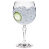 Бокал 630мл Gin Tonic BAR детальная картинка 
