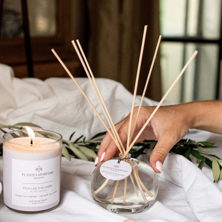 Аромадиффузор «Корзина с оливами»  (Olive Leaves) 100мл детальная картинка 