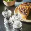 Мельница для соли BISTRO Acryl 10см ZIRLION детальная картинка 